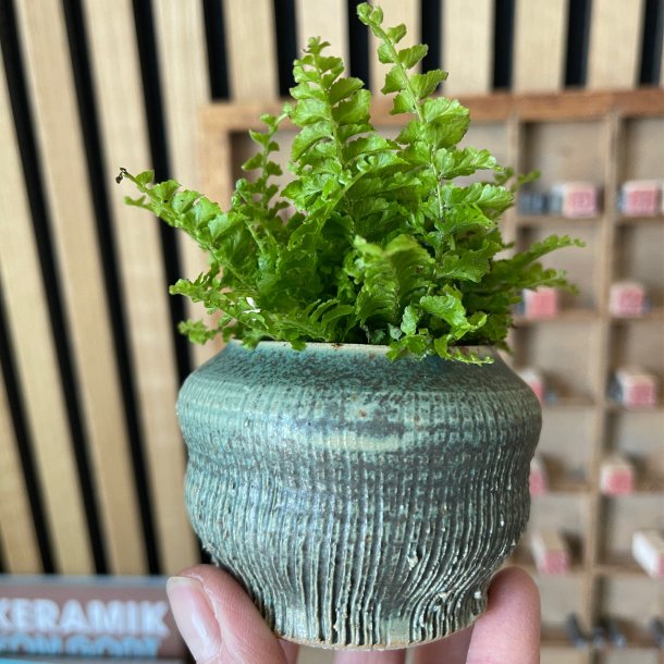 Gr�n krukke med m�nster