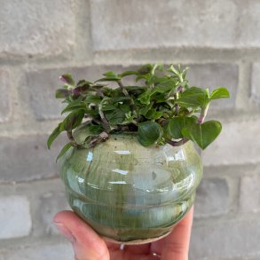 Krukke i gr�nne nuancer