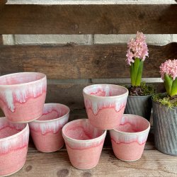 Krus og morgenmadssk�l