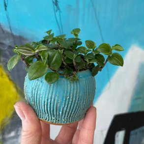 M�nstret vase i turkis