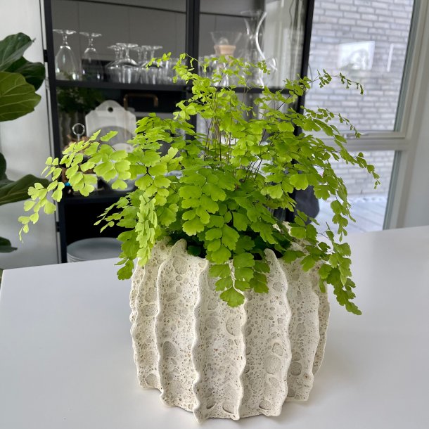 Flot Unika krukke i smuk kraterglasur