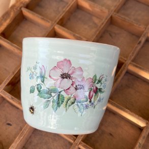 Kop, mintgr�n med smukke billeder