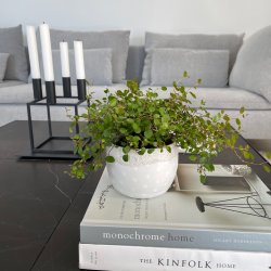 Hvid vase med store hvide dots