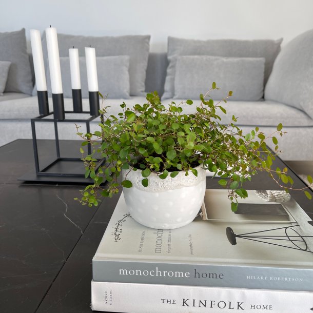 Hvid vase med store hvide dots