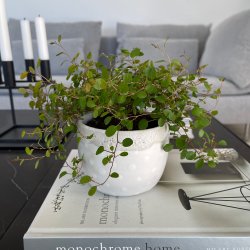 Hvid vase med store hvide dots