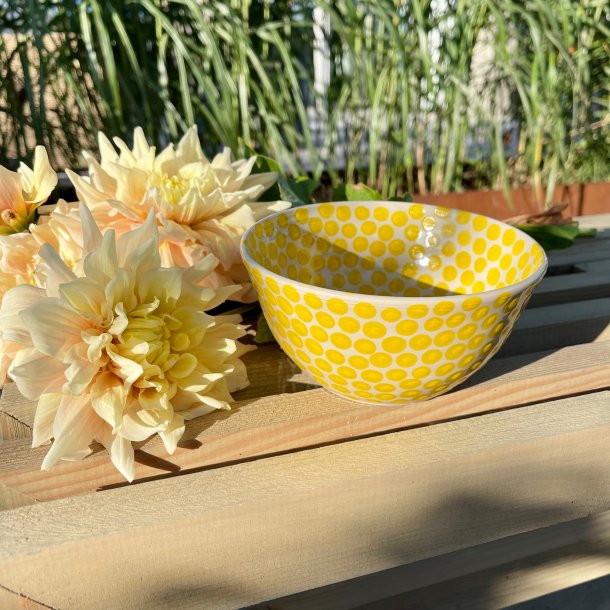 Sk�l i solskins dots