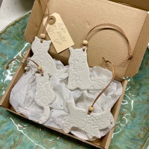 S�t med 4 forskellige katte 