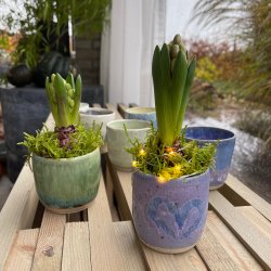 L�gkrukke i multi farver