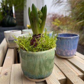 L�gkrukke i smukke gr�nne nuancer