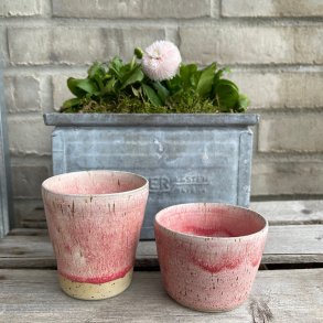 Morgenmadss�t i lyser�d