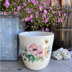 �And I Think to myself what a wonderfull world�