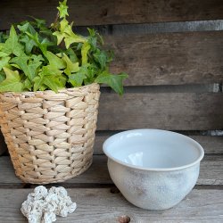 Sk�l i blank hvid inde og r� glasur ude