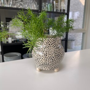 Krukke med sorte dots og ben