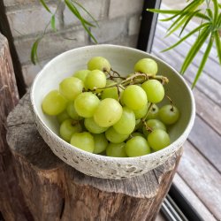 Flot sk�l, hvid og kraterglasur