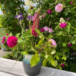 Vase i smukke gr�nne nuancer