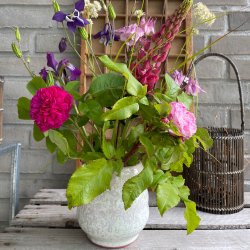 Vase med de smukke krystaller