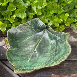 Fineste rabarberblad