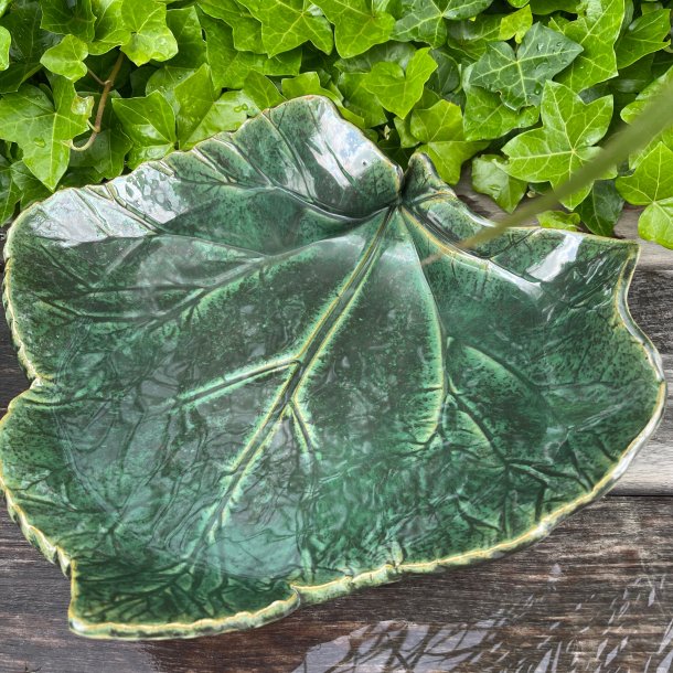 Fineste rabarberblad