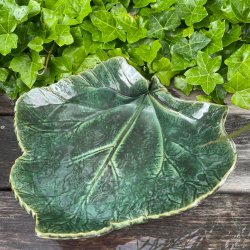 Fineste rabarberblad