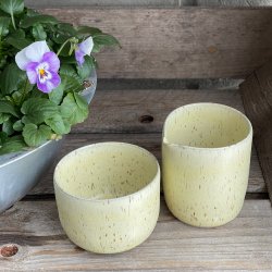 M�lkekande, lysegul