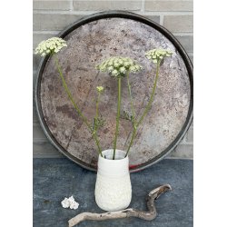 Vase i smukke lyse nuancer