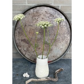 Vase i smukke lyse nuancer