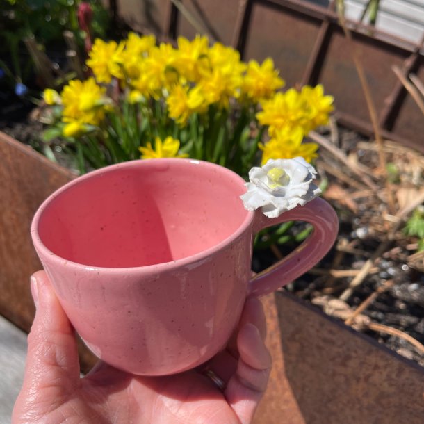 Blomsterkop i lyser�d