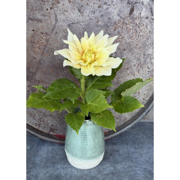 Vase i de smukke gr�nne krystaller